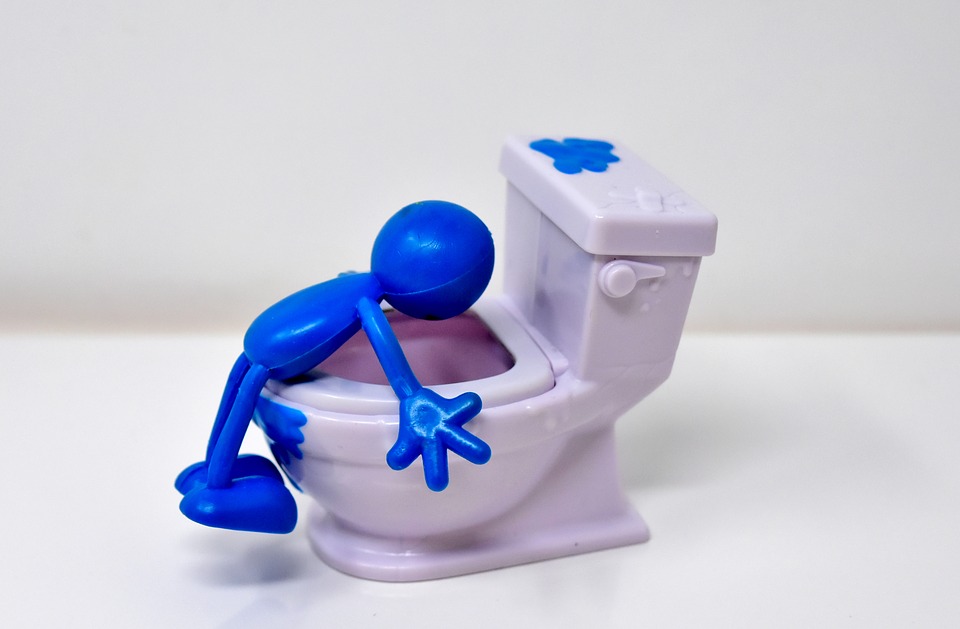 los malos olores en los sanitarios son muy desagradables. fontaneria ezkerro te proporciona aire fresco para tu baño desatascando de urgencia el sanitario.