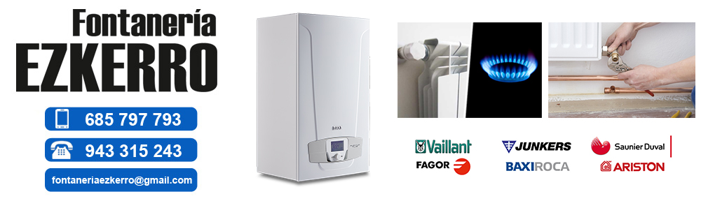 instaladores_de_calefaccion_y_gas_en_san_sebastian_gipuzkoa_hernani_lasarte.jpg